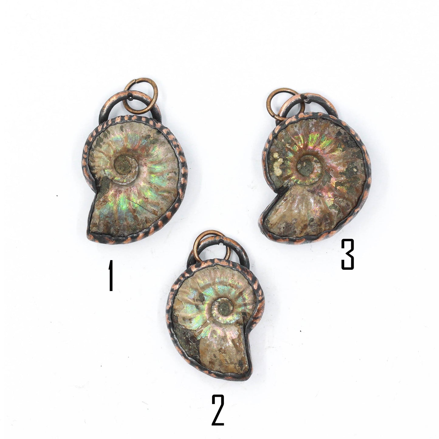 Small Ammonite Necklace